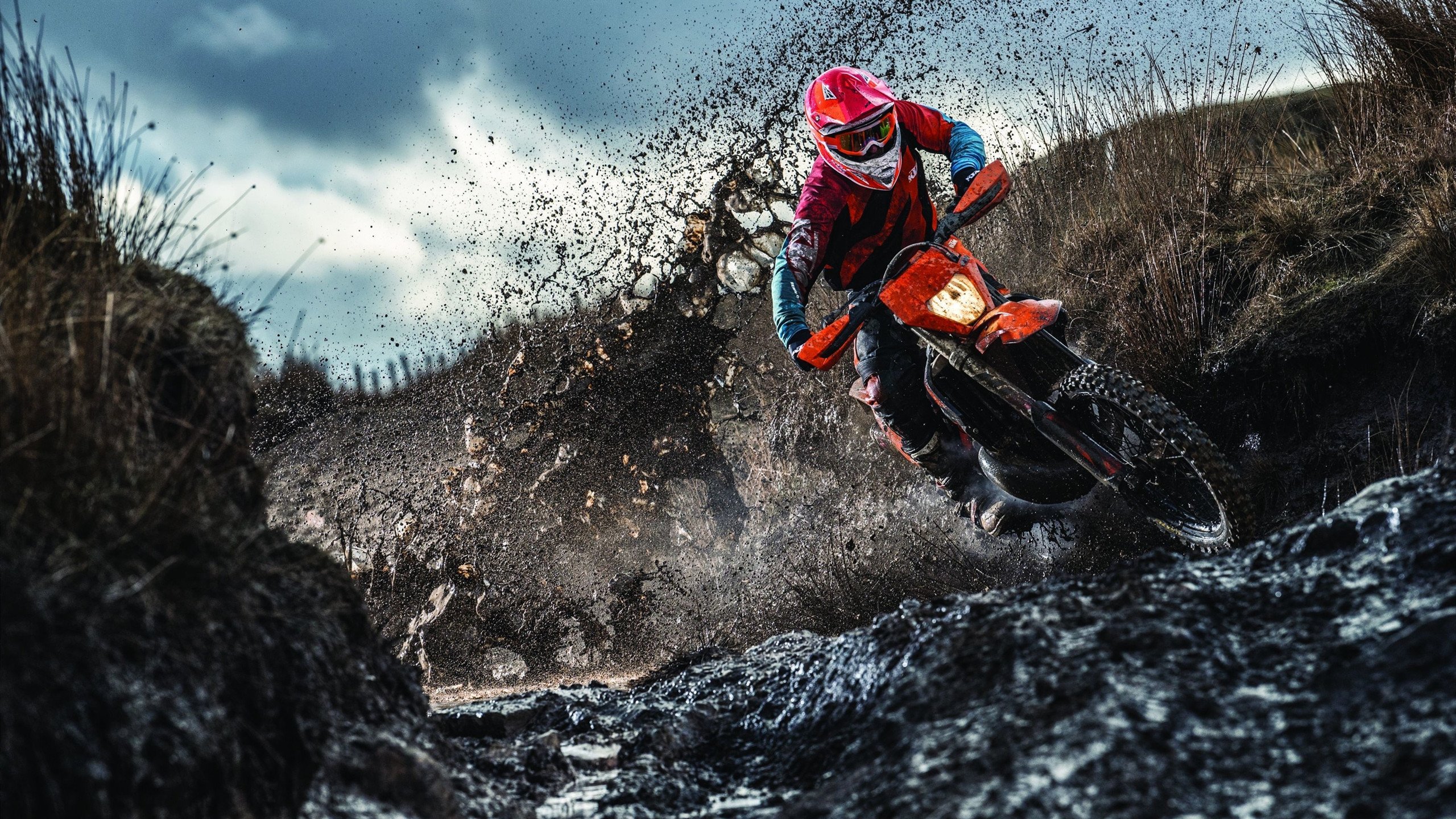 勇士展现团队协作成功逆袭,勇士队团队配合